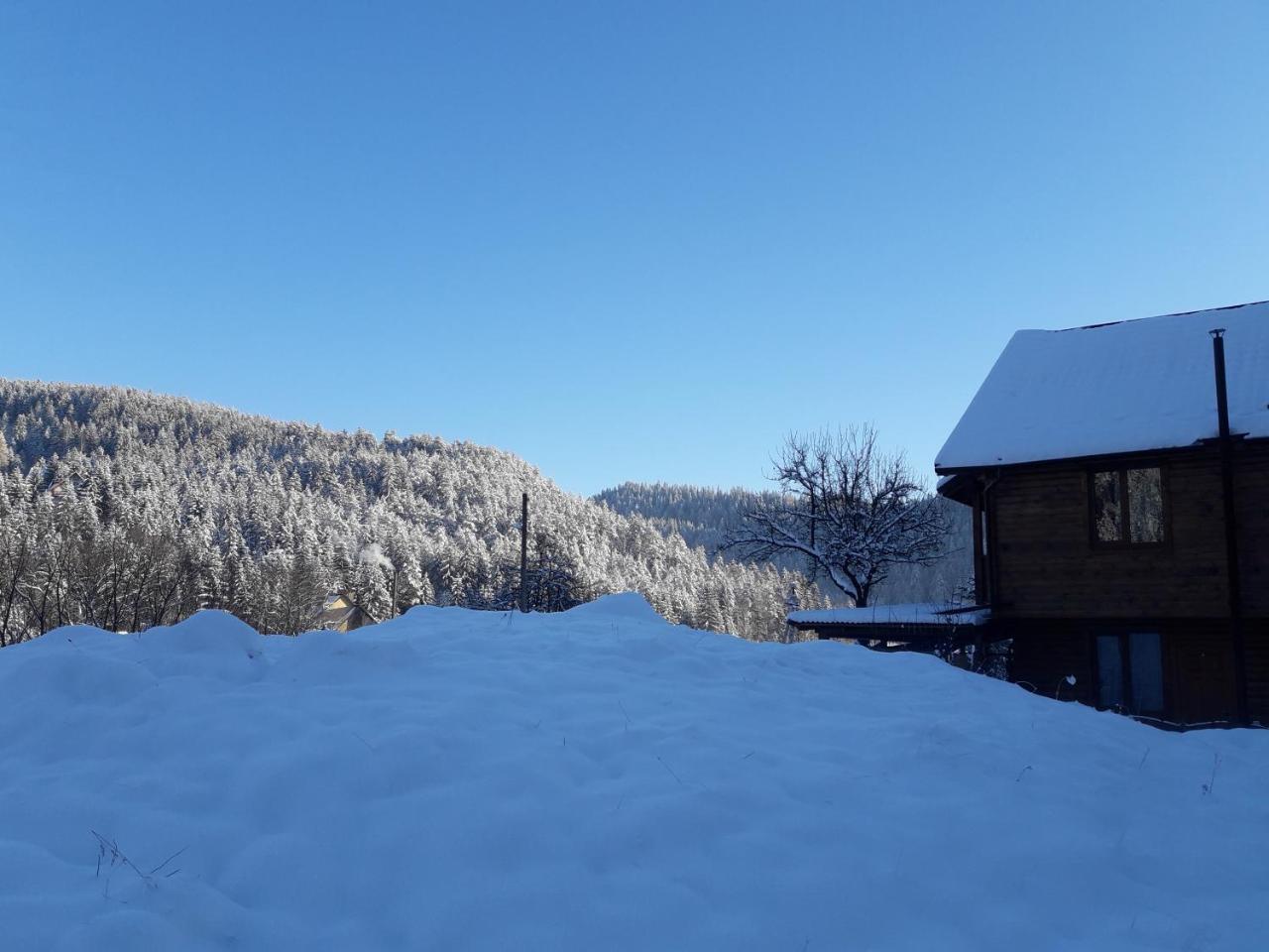 Krym Hotell Jaremtje Exteriör bild